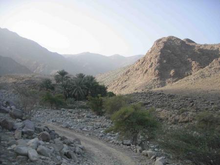 wadi
