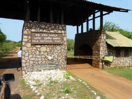 yala park
