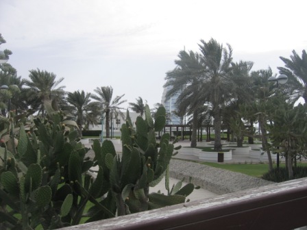 umm suqeim park