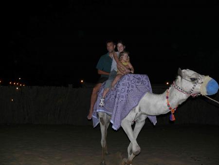 camel family