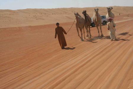 wahiba sands
